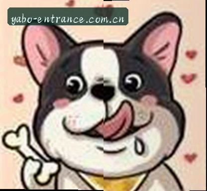 赵敏